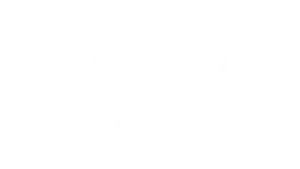 mgm-logo-300x169